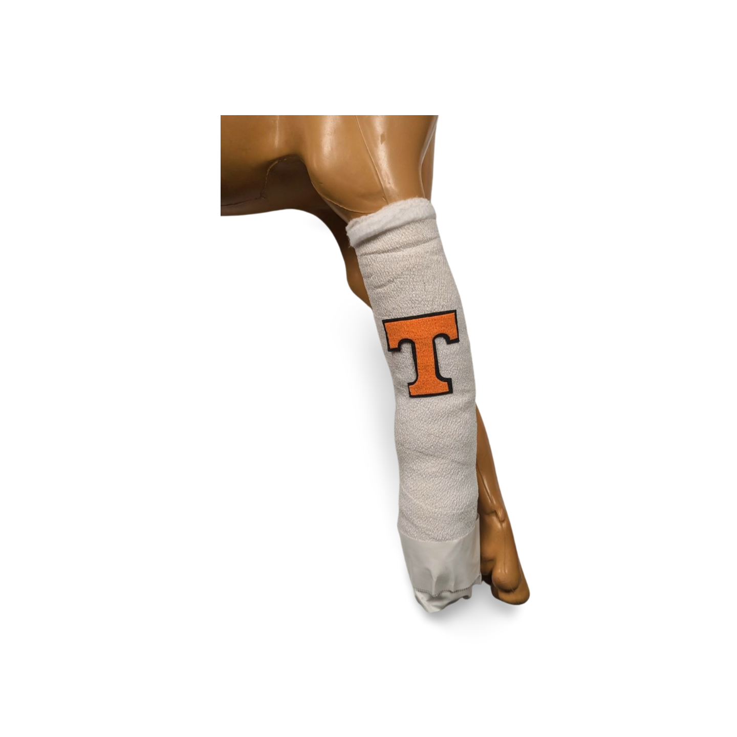 University of Tennessee Logo