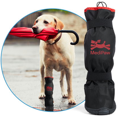 MediPaw Rugged-X Boot